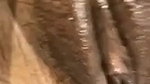 Desi cute huge tits bhabhi bathing fucking and fingring oily pussy many videos merged