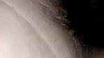 Beautiful Girlfriend Hard Fucking Boob Sucked