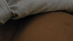 After Sex Desi Nude Busty Girlfriend & Boyfriend Talk in Hotel
