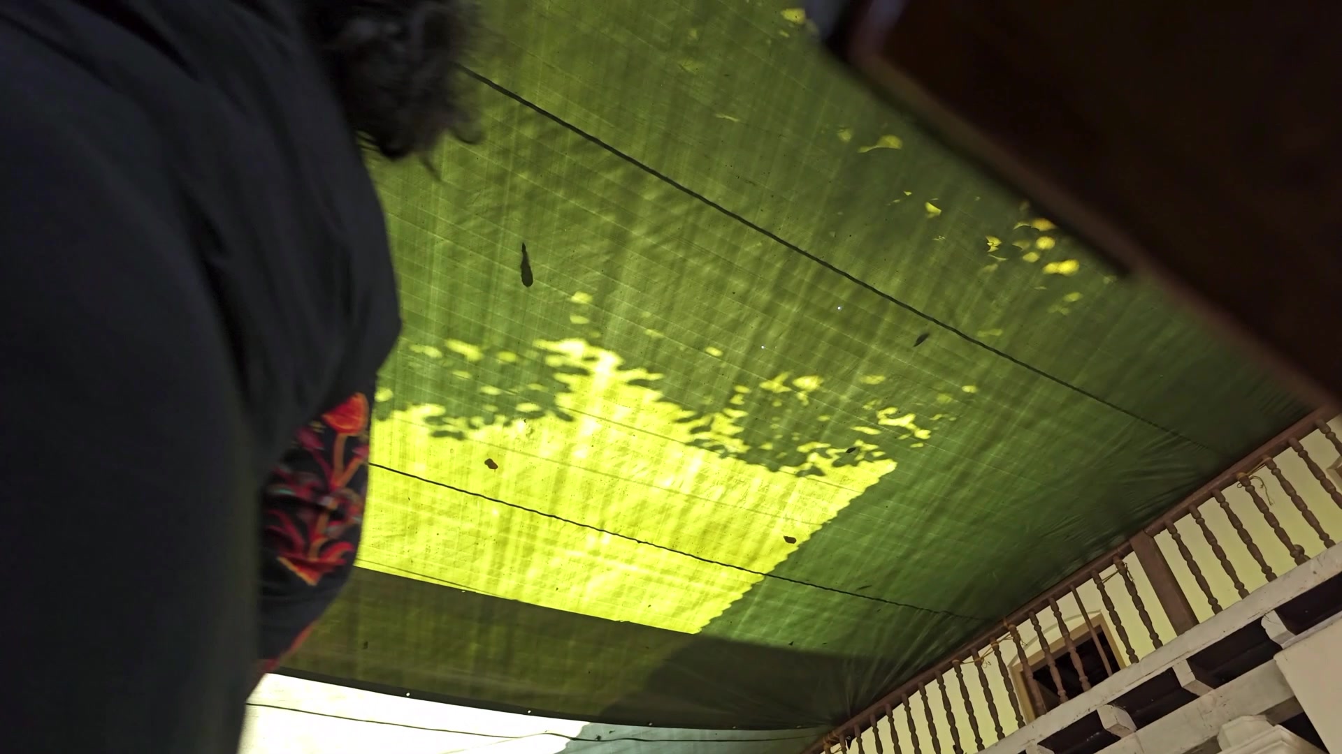 Frame 10