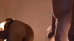 Addicted to well fucked black cocks filmed by cuckolds_d0fb19e3