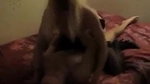 Anal cuckold cumshot xxx Couple sluts attempted to tear me off_1185a88f