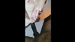 ARONCORA Step mom Cuckold cleanup and swallow amateur_51466170
