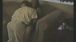 BEST AMATEUR CUCKOLD COMPILATION cumshots and multiple creampies TRY NO TO CUM_a26c9b91