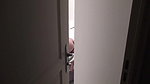 Bisexual husband shared his wife with a friend. Threesome. Mfm. Cuckold. Strapon. Part 2. Ep 22 224_2542e109