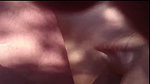 Blonde Wife Nikky Dream Treats Her Holes to a BBC as Cuckold Licks_9ab4a46f