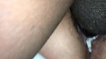 Busty hairycunt GF makes cuckold jealous while rides lover_dc0b0efa