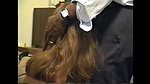 Cuckold Girl_4af7a8b2