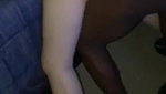 Cuckold Hardcore Delivery For Lucia_b75d3887