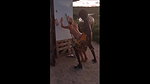 Cuckold Husband_a394e48e