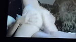 cuckold in his vice mini_48f6d46f