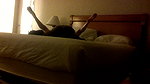 Cuckold int couple couch_944e89ed