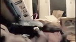 Cuckold Kiss_950b4b13