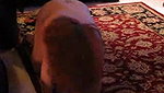 Cuckold Loses Wife in Wager with Friends_be4ddc03