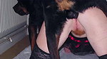 Cuckold POV Watch how your fertile wife getting big breeding creampie inside pussy_6bdbaef8