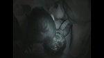 cuckold sessions_2e67d465