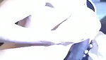 Cuckold Watches Another Man Drill Wife Lexy Star and Bust One in Her Mouth_f9639b9f