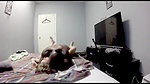 cuckold wife gets bred by bbc for hubbys enjoyment_d278aaad