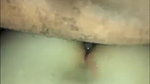 Cuckolding babe creampied_b42c1a30