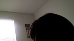 Cuckolding wife having fun with a black stallion_983d57b7