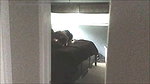 Cuckold_1adfb5a7