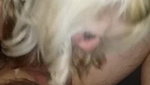 Delicious Wife Is Shared Home-made – Cuckold_da167ca4