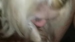 Delicious Wife Is Shared Home-made – Cuckold_da167ca4