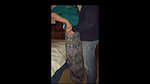 DRIPDROP Mrs. DarkCuckold Loves Having Dick in Her Mouth While Getting Fucked From Behind_5ae96eb1
