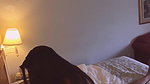 Femdom Wife Gets Pregnant From Her Nasty Cuckold Session Taunts U_b378ce6e