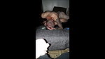 French Arab Cuckold Wife In Hijab_101db531