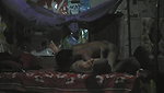 Desi village real mom son fucking part 2 (mssp)