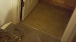HUNT4K. Focus on Cuckolding_6ed81822