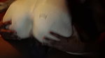 I just got lucky at work and fucked the bosses wife cuckold_9aa60e39