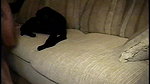 India Summer – Hot milf India Summer gets fucked in front of her cuckold husband_e48e63ee