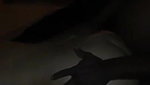 IR Anan Cuckold – POV_381465ea