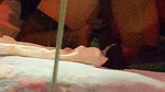 Jodi west interracial cuckold_32dab77e