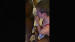 Lelu Love-Cuckolding On Phone Creampie CEI_2ce0f664