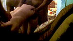 Milf cuckolds riding and sucking bbcs_7d7d4c2d
