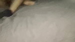my lover makes my pussy explodes in a golden shower before fucking and creampying my pussy in front of my cuckold_4a8de9be