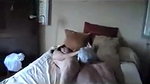 Real amateur homemade cuckold sessions Karina and Lucas_fc768cac