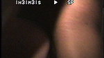 riding cock in front of my cuckold_df7fe83e