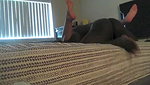Sexwife and cuckold_df001244