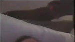 Sexy Housewife Mason Moore Takes a Studs Cock Next to Her Cuckold_254be478