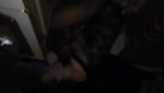 Sexy Wife Adrianna Rossi Rides Another Mans Dick as Cuckold Watches_bbc22510