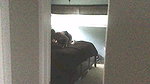 Shameless Cuckolding Wife Brittany Bardot Is Thirsty for Cum_fd1b0ad5