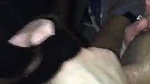 TACOS POV Hubby Watches His Wife Making Him A Cuckold And Got Creampied In The Theatre By Stranger Ep 13_94adf065