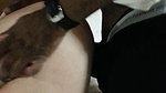 Trailer – Bi humiliation Cuckold POV – Censored loser porn_720b883d