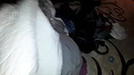 white teen French Girlfriend first bbc cuckold boyfriend jerks off and films in hotel room – Homemade Video_05929c82