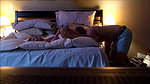 Wife Aila Donovan Cuckolds Voyeur Husband With Jay Romero_6fef9deb