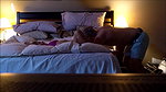 Wife Aila Donovan Cuckolds Voyeur Husband With Jay Romero_6fef9deb